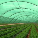 agriculture net in africa, agro shade net manufacturer from Gujarat, agriculture net in africa