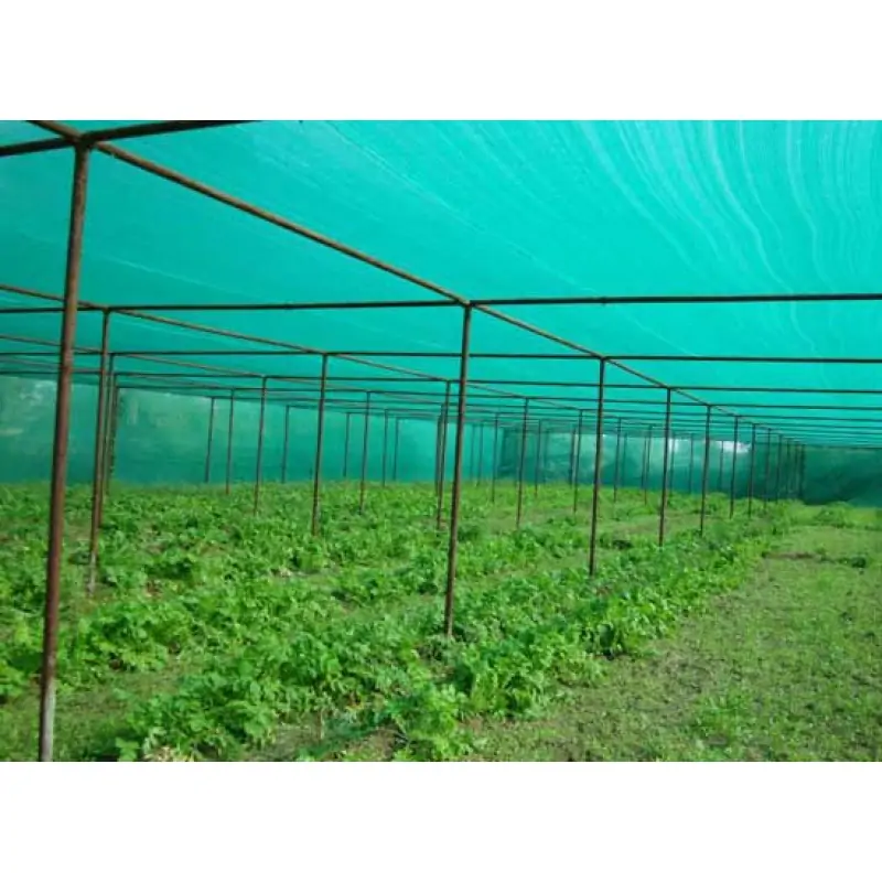 green shade net is used for protection of plants