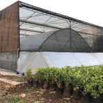 shading net for greenhouse, agro shade net green house usage, agriculture net used in green house, sun shading net used in green house, green net used in net house, white net used in net house