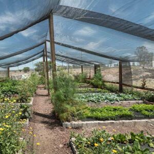 Overcoming Common Agriculture Challenges with UV Treated Shade Nets
